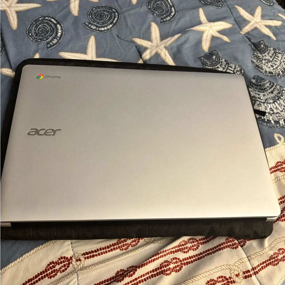 Acer Chromebook 315 - Black and Silver